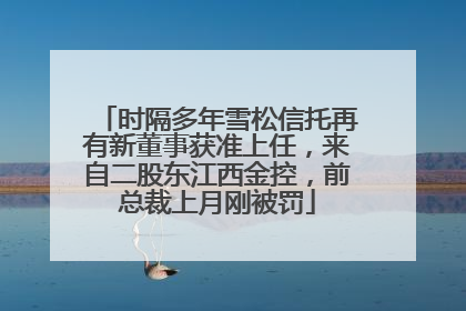 时隔多年雪松信托再有新董事获准上任，来自二股东江西金控，前总裁上月刚被罚
