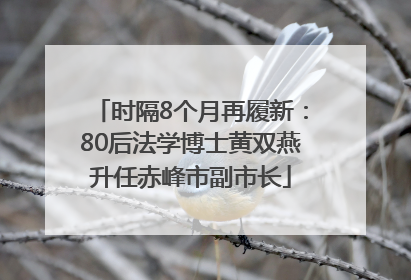 时隔8个月再履新：80后法学博士黄双燕升任赤峰市副市长