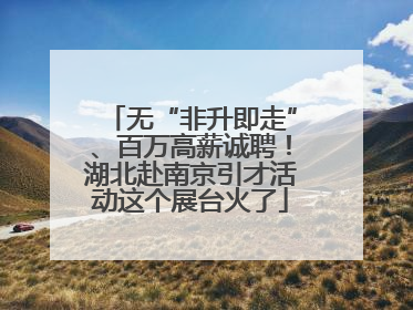 无“非升即走”、百万高薪诚聘！湖北赴南京引才活动这个展台火了