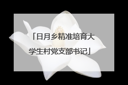 日月乡精准培育大学生村党支部书记