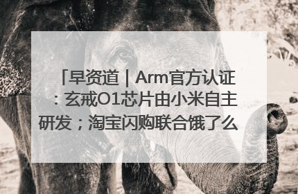 早资道｜Arm官方认证：玄戒O1芯片由小米自主研发；淘宝闪购联合饿了么日订单超4000万