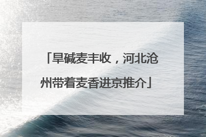 旱碱麦丰收，河北沧州带着麦香进京推介