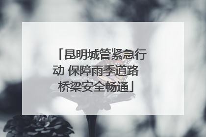 昆明城管紧急行动 保障雨季道路桥梁安全畅通