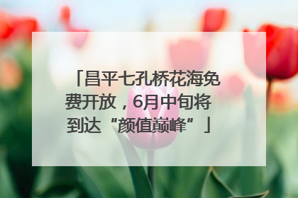 昌平七孔桥花海免费开放，6月中旬将到达“颜值巅峰”