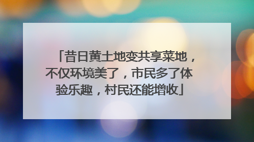 昔日黄土地变共享菜地，不仅环境美了，市民多了体验乐趣，村民还能增收