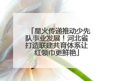 星火传递推动少先队事业发展！河北省打造联建共育体系让红领巾更鲜艳
