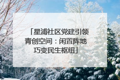 星浦社区党建引领青创空间：闲置阵地巧变民生枢纽