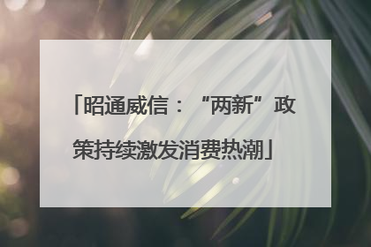 昭通威信：“两新”政策持续激发消费热潮