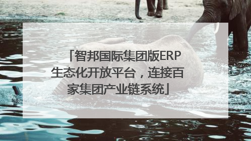 智邦国际集团版ERP生态化开放平台，连接百家集团产业链系统