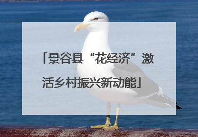 景谷县“花经济”激活乡村振兴新动能