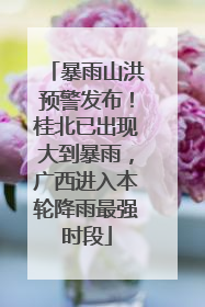 暴雨山洪预警发布！桂北已出现大到暴雨，广西进入本轮降雨最强时段