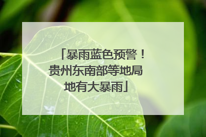 暴雨蓝色预警！贵州东南部等地局地有大暴雨