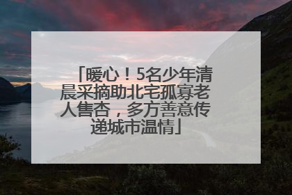 暖心！5名少年清晨采摘助北宅孤寡老人售杏，多方善意传递城市温情