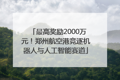 最高奖励2000万元！郑州航空港竞逐机器人与人工智能赛道