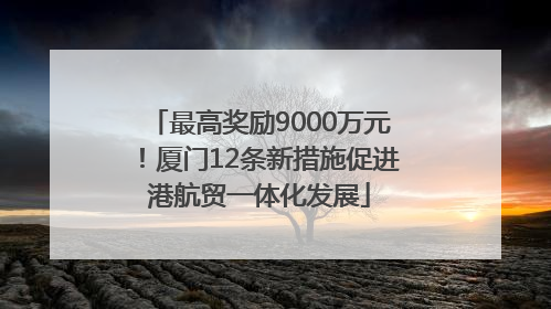 最高奖励9000万元！厦门12条新措施促进港航贸一体化发展
