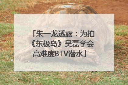 朱一龙透露：为拍《东极岛》吴磊学会高难度BTV潜水