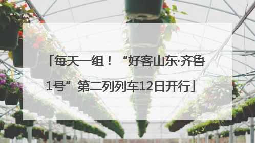 每天一组！“好客山东·齐鲁1号”第二列列车12日开行