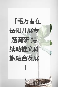 毛万春在岳阳开展专题调研 持续助推文科旅融合发展