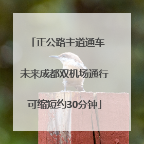 正公路主道通车 未来成都双机场通行可缩短约30分钟