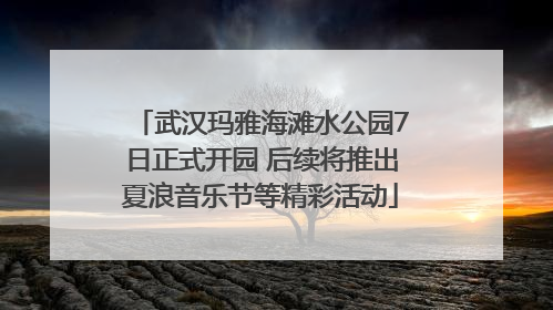 武汉玛雅海滩水公园7日正式开园 后续将推出夏浪音乐节等精彩活动