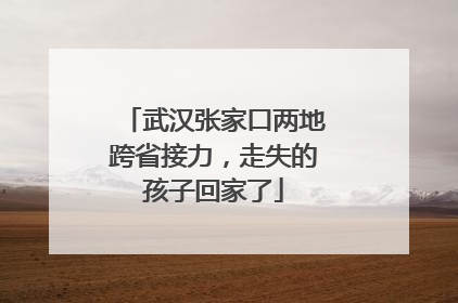 武汉张家口两地跨省接力，走失的孩子回家了