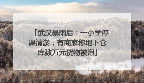 武汉暴雨后：一小学停课清淤，有商家称地下仓库数万元货物被泡