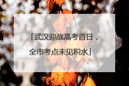 武汉迎战高考首日，全市考点未见积水