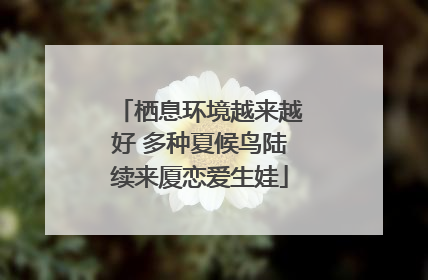 栖息环境越来越好 多种夏候鸟陆续来厦恋爱生娃