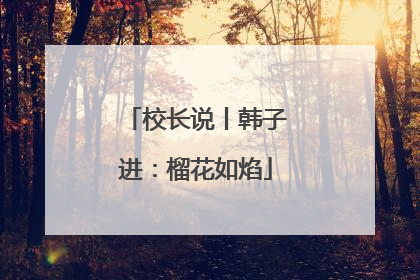 校长说丨韩子进：榴花如焰