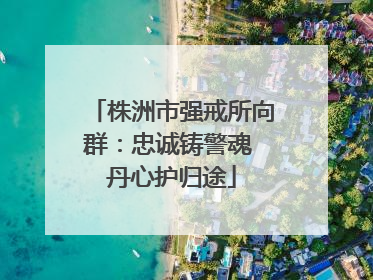 株洲市强戒所向群：忠诚铸警魂 丹心护归途