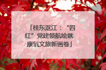 桂东沤江：“四红”党建领航绘就康氧文旅新画卷