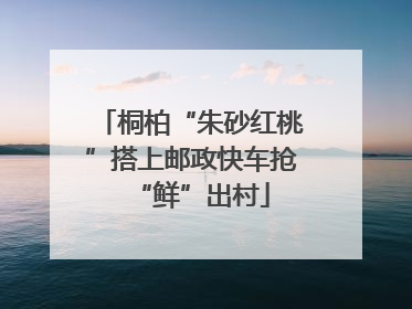 桐柏“朱砂红桃”搭上邮政快车抢“鲜”出村