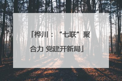 桦川：“七联”聚合力 党建开新局
