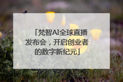 梵智AI全球直播发布会，开启创业者的数字新纪元