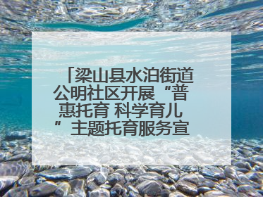 梁山县水泊街道公明社区开展“普惠托育 科学育儿”主题托育服务宣传活动