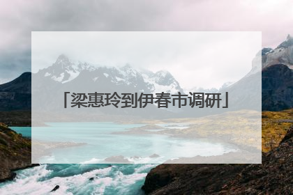 梁惠玲到伊春市调研