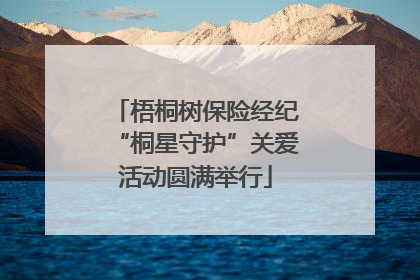 梧桐树保险经纪“桐星守护”关爱活动圆满举行
