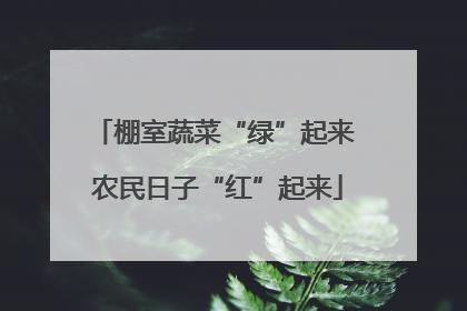 棚室蔬菜“绿”起来 农民日子“红”起来