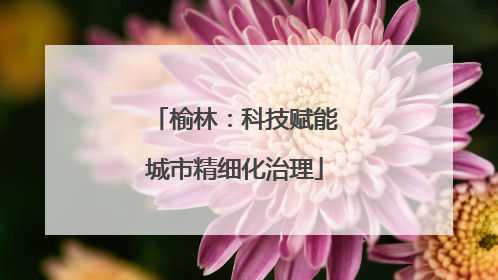 榆林：科技赋能城市精细化治理