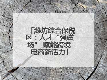 潍坊综合保税区：人才“强磁场” 赋能跨境电商新活力