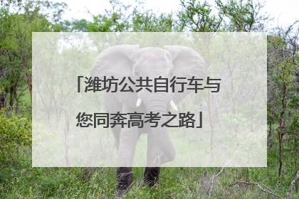 潍坊公共自行车与您同奔高考之路