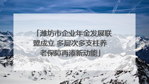 潍坊市企业年金发展联盟成立 多层次多支柱养老保障再添新动能