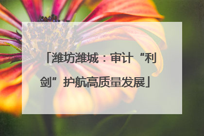 潍坊潍城：审计“利剑”护航高质量发展