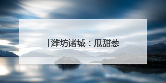 潍坊诸城：瓜甜葱郁处 产业好风光