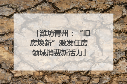 潍坊青州：“旧房焕新”激发住房领域消费新活力