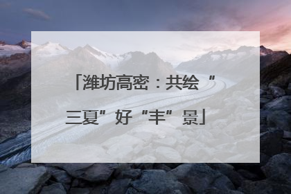 潍坊高密：共绘“三夏”好“丰”景