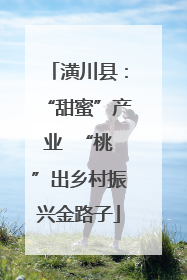 潢川县：“甜蜜”产业  “桃”出乡村振兴金路子
