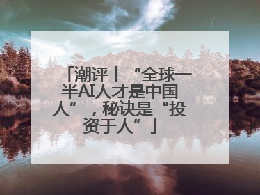 潮评丨“全球一半AI人才是中国人”，秘诀是“投资于人”