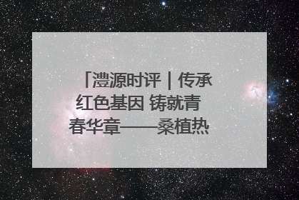 澧源时评｜传承红色基因 铸就青春华章——桑植热土上的青春长征