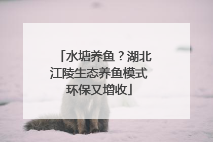 水塘养鱼？湖北江陵生态养鱼模式环保又增收